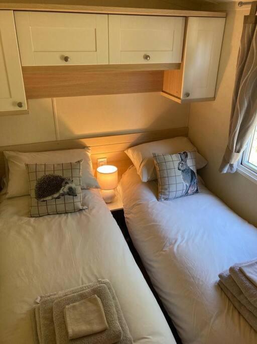 Red Squirrel Holiday Home In The Countryside, 10 Mins To Lligwy Beach Llandyfrydog 外观 照片