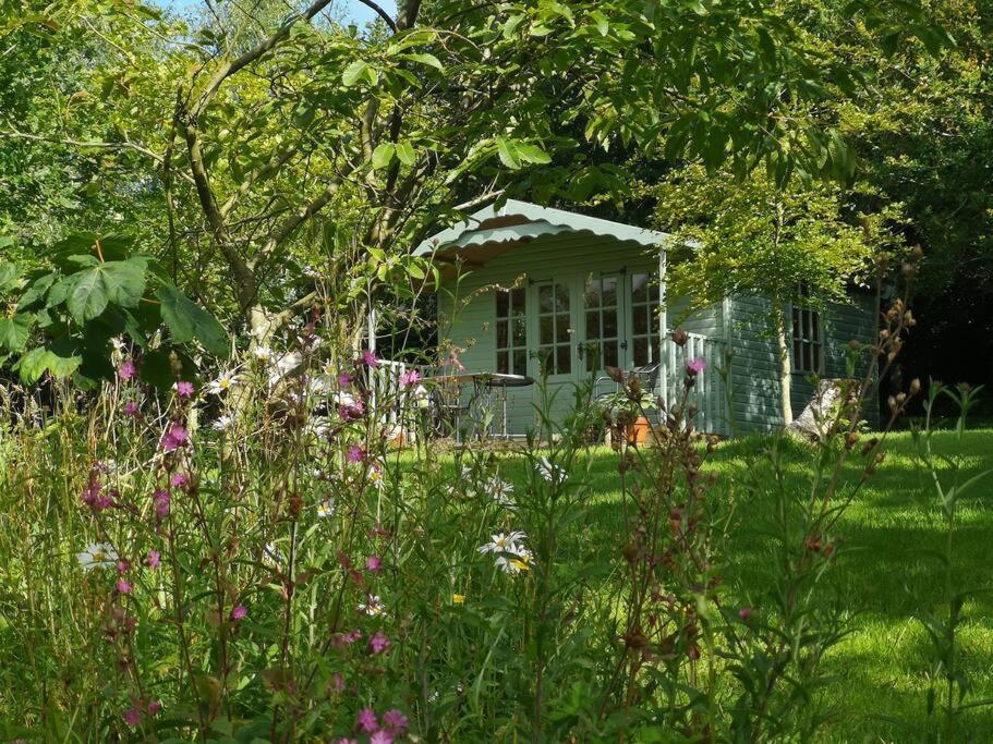 Red Squirrel Holiday Home In The Countryside, 10 Mins To Lligwy Beach Llandyfrydog 外观 照片