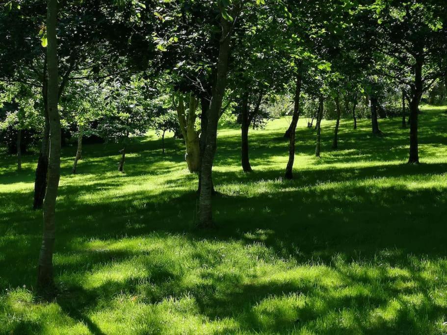 Red Squirrel Holiday Home In The Countryside, 10 Mins To Lligwy Beach Llandyfrydog 外观 照片